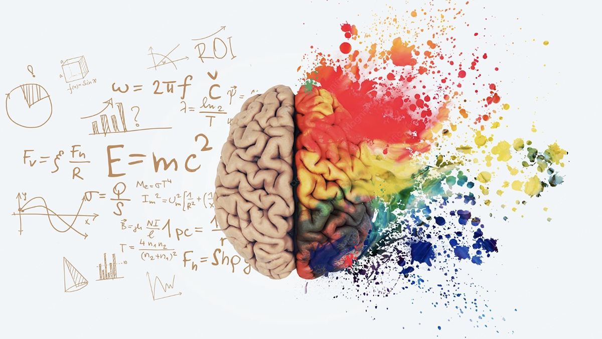 https://www.isoladieinstein.it/wp-content/uploads/2026/06/intrecci-ok.png