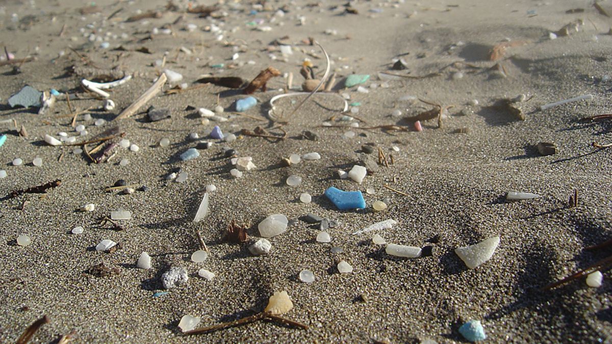 https://www.isoladieinstein.it/wp-content/uploads/2026/06/microplastiche.jpg